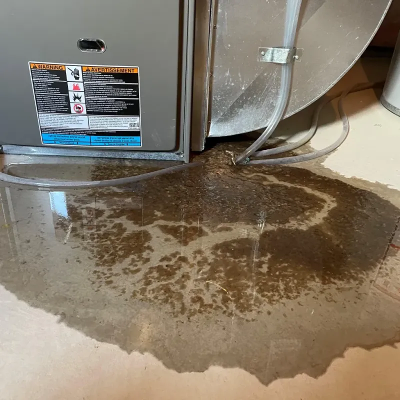 Appliance Leak Cleanup in Gleason, TN